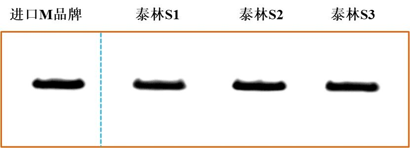 1772605271553302iK7C.png 圖片6.png